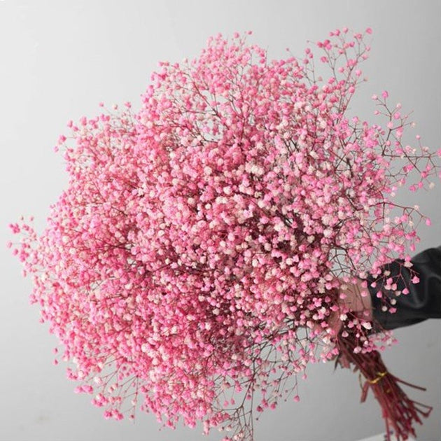 Pampas Design | Ways To Use Baby’s Breath In Your Wedding Décor ...